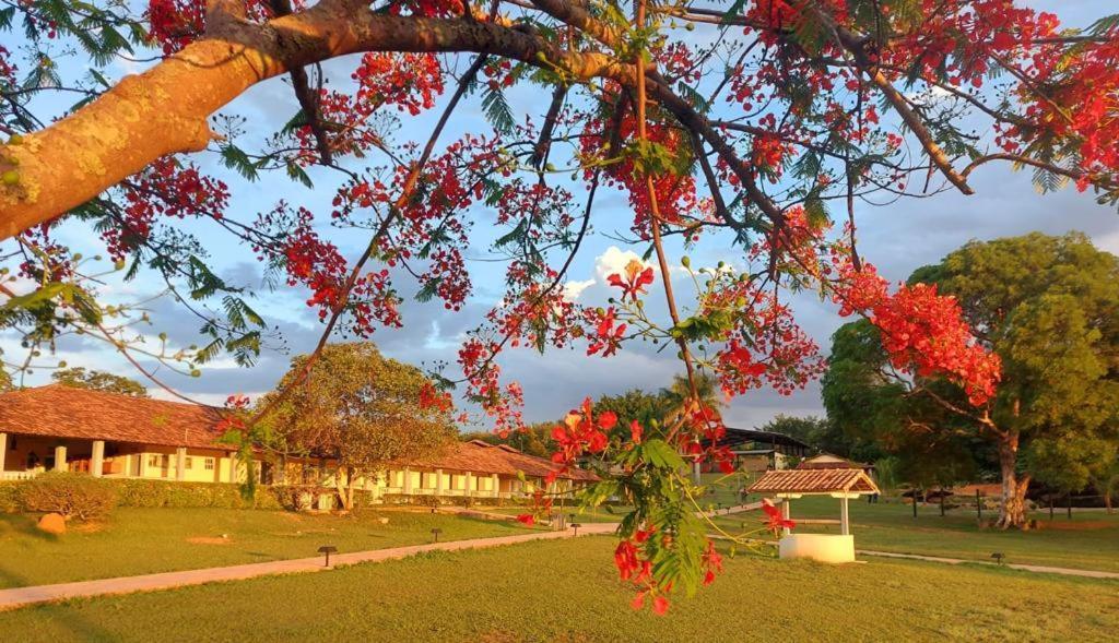 Sertao Veredas Hotel Fazenda Paraopeba 외부 사진
